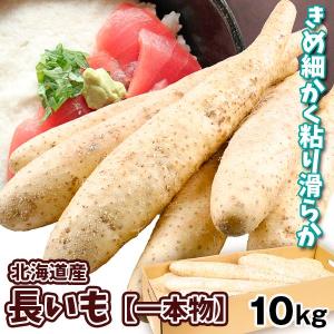 山いも 10kg 北海道産 長いも（一本物）10〜15本  芋 野菜