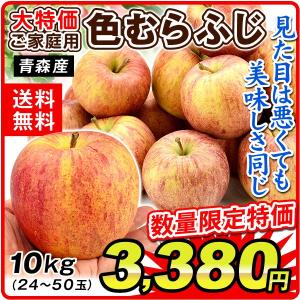 りんご 大特価 青森産 色むらサンふじ（10kg）24〜50玉 ご家庭用  数量限定 訳あり サンふじ ふじ 林檎 食品 グルメ 果物 国華園