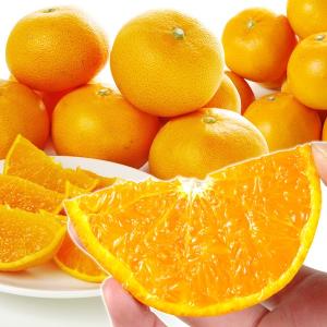 せとか 鹿児島産 ご家庭用 せとか（5kg）M〜2Ｌ 柑橘 かんきつ フルーツ 国華園