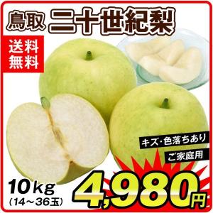 梨 二十世紀梨 10kg1箱 大特価 鳥取県産 ご家庭用 なし 食品 国華園
