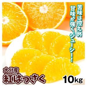 みかん 10kg 紅はっさく 大分産 ご家庭用 送料無料 食品