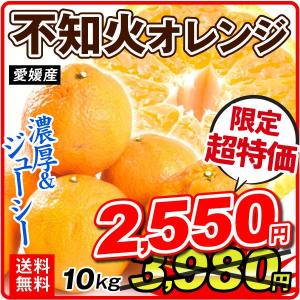 みかん 10kg 愛媛産 不知火オレンジ 送料無料 食品