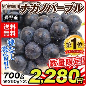 ぶどう（数量限定）ナガノパープル（約350g×2パック）長野県産 ご家庭用 葡萄 ブドウ フルーツ 果物 国華園