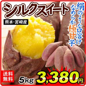 さつまいも シルクスイート 5kg 熊本・宮崎産 生芋 ご家庭用 絹甘芋 芋 甘藷 サツマイモ 送料無料 食品 国華園