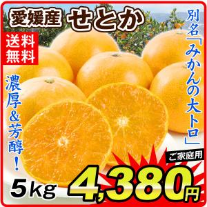 みかん 愛媛産 せとか（5kg）ご家庭用 無選別 えひめ 柑橘 かんきつ フルーツ 国華園