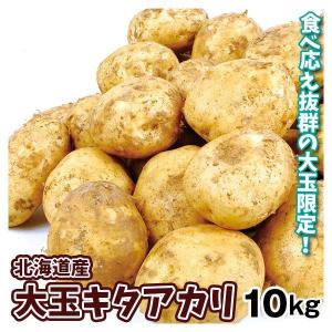 じゃがいも 10kg 大玉キタアカリ 北海道産 送料無料 食品 : 食みらい