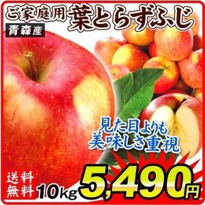 りんご 青森産 ご家庭用 葉とらずふじ 10kg 1箱 送料無料 食品 国華園