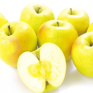 りんご 青森産 ぐんま名月 10kg 1箱 送料無料 食品 国華園
