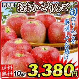 りんご 青森産 徳用 おまかせりんご（10kg）1箱 ご家庭用（赤りんご or 青りんごからお選びください） 林檎 数量限定 品種おまかせ フルーツ 果物 国華園