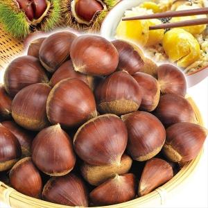 栗 1kg 利平栗 熊本産 冷蔵便 送料無料 食品 : 食みらい・国華園