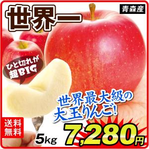 りんご 5kg 青森産 世界一（8〜20玉）1箱 大玉 せかいいち 希少品種 ご家庭用 送料無料 林檎 フルーツ食品 国華園