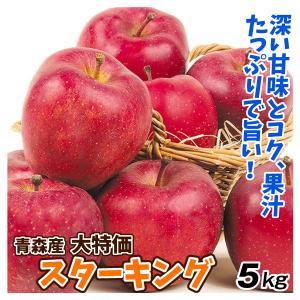 りんご 5kg 青森産 大特価 スターキング （12〜28玉） 1箱 ご家庭用 送料無料 林檎 フルーツ食品 国華園