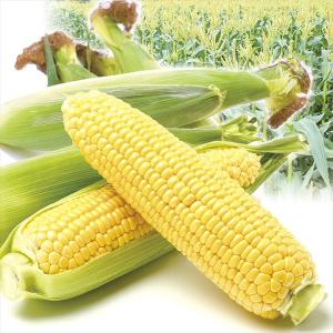 花と緑 国華園 トウモロコシ 野菜 Yahoo ショッピング