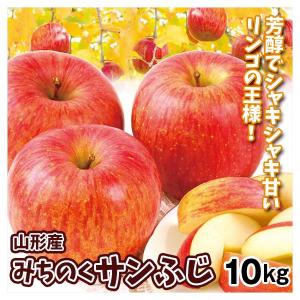 りんご 10kg みちのく サンふじ 山形産 ご家庭用 ふじりんご 送料無料