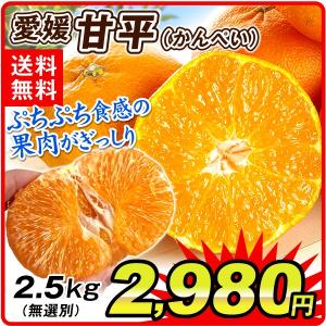 みかん 愛媛産 甘平（2.5kg）ご家庭用 柑橘 かんぺい ジュ―シー 食品 国華園