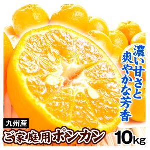 みかん 10kg ポンカン 九州産 ご家庭用 オレンジ 柑橘 蜜柑 送料無料 食品｜kokkaen