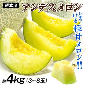 高知,熊本県産 冬の大豊作マスクメロン2〜8玉入【送料無料】1箱 訳あり