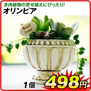 天然石鉢・寄せ植え鉢・水鉢・一輪挿し鉢・多肉植物鉢・オブジェ・置物・庭石 天然石鉢・寄せ植え鉢・水鉢・一輪挿し鉢・多肉植物鉢・オブジェ・置物