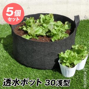 透水ポット40浅型 5個1組 不織布 透水 植木鉢 園芸ポット 園芸