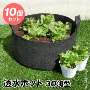 透水ポット30浅型 10個1組 不織布 透水 植木鉢 園芸ポット 園芸 ガーデニング コンパクト 収納 DIY 通気 国華園