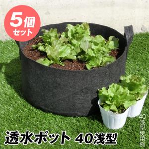 国華園 透水ポット30浅型 5個1組 不織布 透水 植木鉢 園芸ポット 園芸