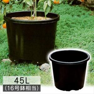 鉢 植木鉢 果樹鉢 ビッグ鉢60L型 黒 5個組 ≪代引不可≫ 国華園 : 花と