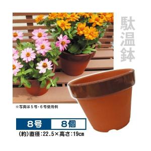 深器　　深鉢 伝市鉢 中深鉢【深】 8号 - 岩崎園芸ネットストア