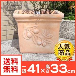植木鉢 テラコッタ 素焼き鉢 ベトナム鉢 エポカ・大