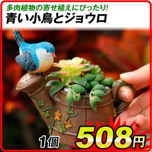 多肉植物 寄せ植え のおすすめランキング 鉢 植木鉢 ポリ製 多肉植物 寄せ植え かわいい プチオアシス 青い鳥とジョウロ 1個 女性 プレゼント 国華園 3ページ