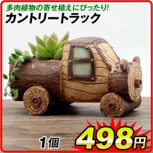 鉢 植木鉢 ポリ製 多肉植物 寄せ植え かわいい プチオアシス・カントリートラック 1個 女性 プレゼント