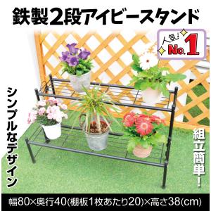 国華園 即納 花台 フラワースタンド 鉄製 ア...の詳細画像1