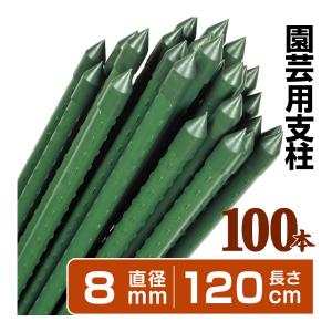 シンセイ 園芸支柱 イボ付/内キャップ式 8φ×900mm×100本セット