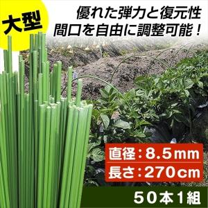 支柱 大型 グラスファイバー製 園芸 農業 （代引不可） 長さ300cm 50本