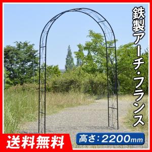 バラアーチ 送料無料 鉄製アーチ フランス 1個 ガーデンアーチ ローズアーチ ガーデニング アイアン