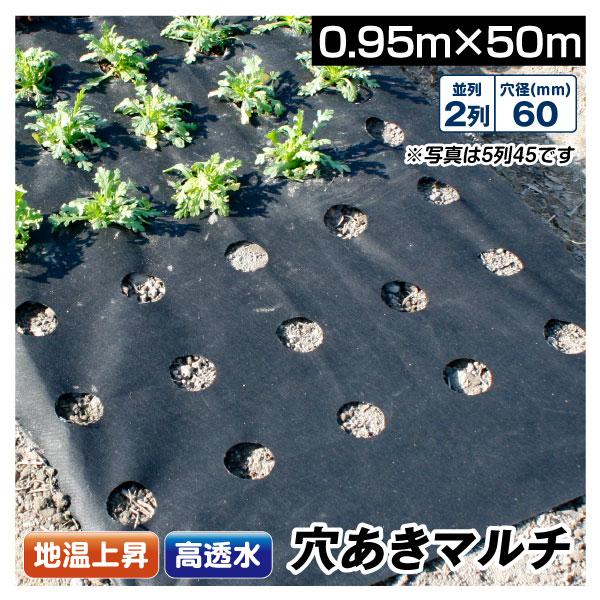 農業用マルチシート 穴あき透水マルチ 2列60 0.95×50m 1巻1組 農用 マルチング 被覆資...
