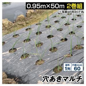 農業用マルチシート Kmaster 農業用マルチシート 農ポリ 黒穴あきマルチ 7列45 1.35×50m 2