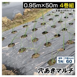Kmaster 国華園 農業用マルチシート 農ポリ 黒穴あきマルチ7列45 1.35
