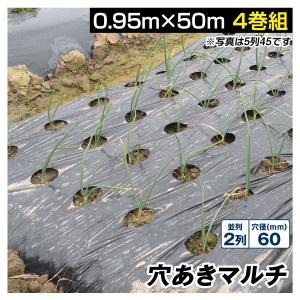 セフティー3 ステンマルチ穴あけ 80mm 穴あき 黒マルチ マルチシート