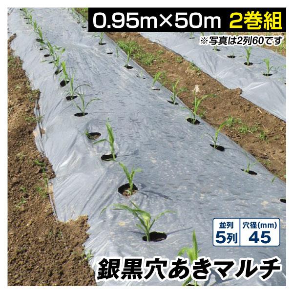 農業用マルチシート 農ポリ 銀黒穴あきマルチ 5列45 0.95×50m 2巻組 農用 マルチ マル...