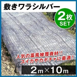 農業用マルチシート 敷きわら 敷きワラシルバー 2m×10m 2枚1組 農用 藁 ワラ風シート マルチング 被覆資材 ポリエチレン 透水 防虫 国華園｜kokkaen