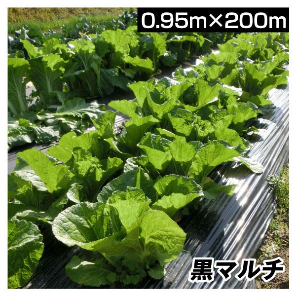 農業用マルチシート 農ポリ 黒マルチ 0.95×200m 1巻1組 農用 マルチ マルチング 被覆資...