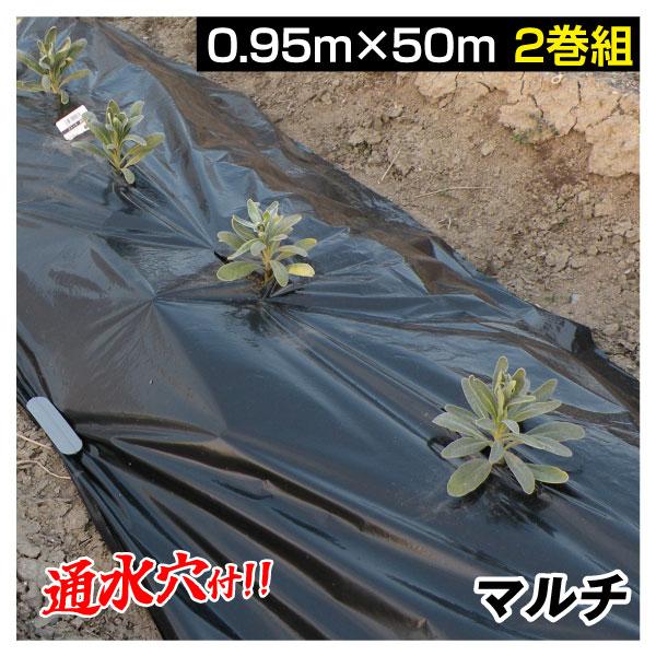 農業用マルチシート 農ポリ 通水黒マルチ 0.95×50m 2巻1組 農用 マルチ マルチング 被覆...