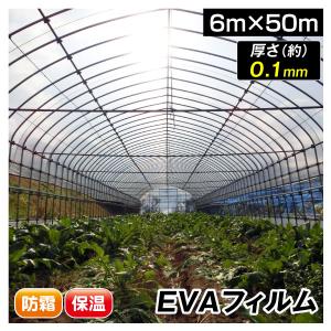 国華園 ビニール フィルム 温室フィルム EVAフィルム厚型 8m×30m 1巻
