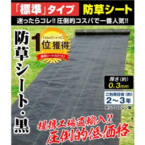 国華園 即納 防草シート 0.7m×50m 農...の詳細画像1