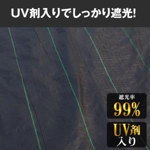国華園 即納 防草シート 1m×100m 農用...の詳細画像4
