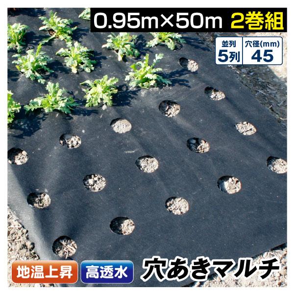 農業用マルチシート 穴あき透水マルチ 5列45 0.95×50m 2巻1組 農用 マルチング 被覆資...