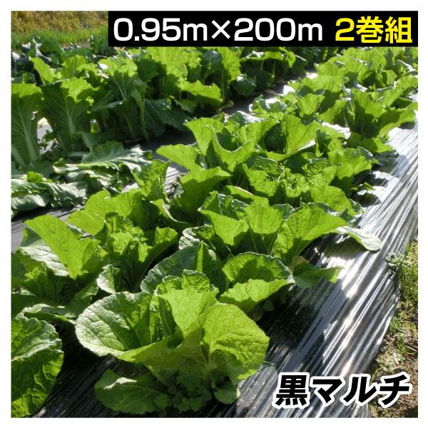 農業用マルチシート 農ポリ 黒マルチ 0.95×200m 2巻1組 農用 マルチ マルチング 被覆資...