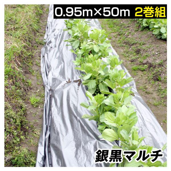 農業用マルチシート 農ポリ 銀黒マルチ 0.95×50m 2巻1組 農用 マルチ マルチング 被覆資...