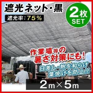 日よけ 遮光ネット黒(遮光率:50%) 2×5m 2枚1組 サンシェード