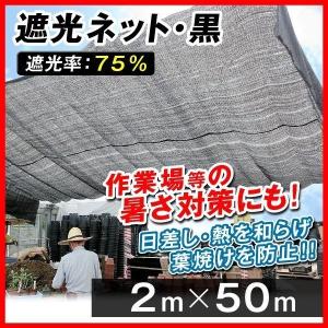 日よけ 遮光ネット黒(遮光率:75%) 2×5m 2枚1組 サンシェード
